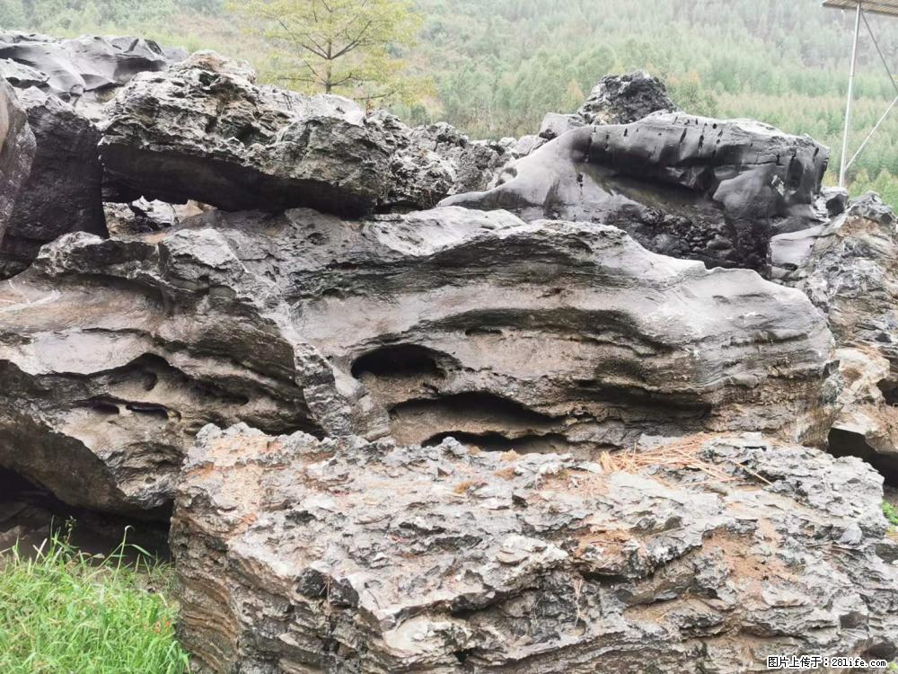 风景石、假山石大量有货，有需要的欢迎联系 - 新手上路 - 邯郸生活社区 - 邯郸28生活网 hd.28life.net