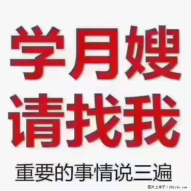 为什么要学习月嫂，育婴师？ - 其他广告 - 广告专区 - 邯郸分类信息 - 邯郸28生活网 hd.28life.net
