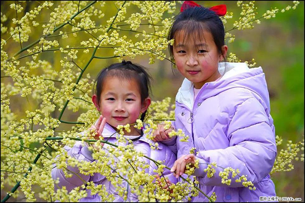【春天，广西桂林灌阳县向您发出邀请！】米珠山前有片山苍子花在飘香 - 游山玩水 - 邯郸生活社区 - 邯郸28生活网 hd.28life.net