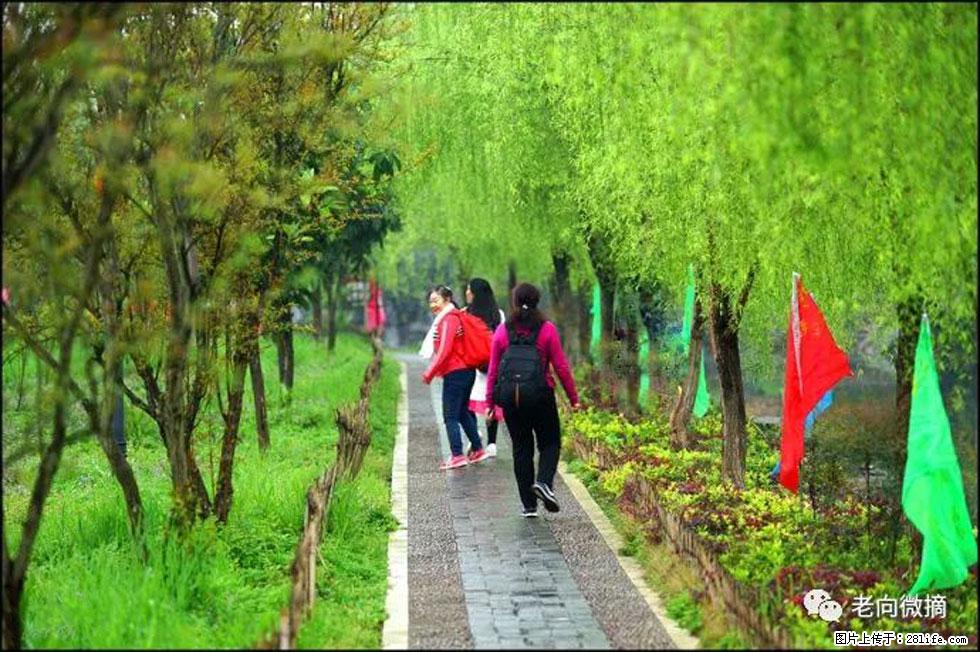 【春天，广西桂林灌阳县向您发出邀请！】江口老街又逢春 - 游山玩水 - 邯郸生活社区 - 邯郸28生活网 hd.28life.net