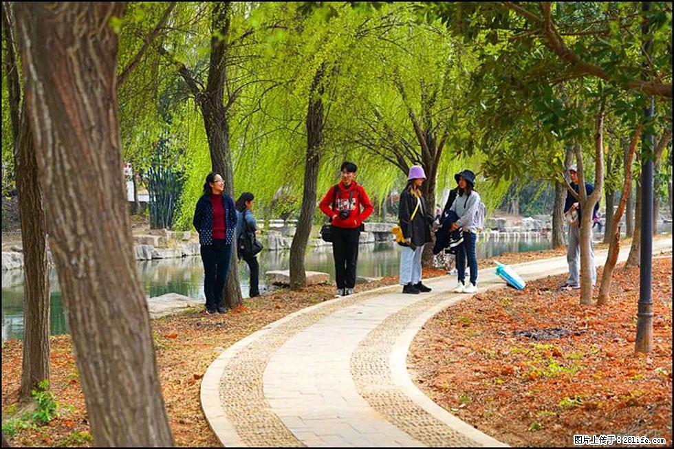 【春天，广西桂林灌阳县向您发出邀请！】江口老街又逢春 - 游山玩水 - 邯郸生活社区 - 邯郸28生活网 hd.28life.net