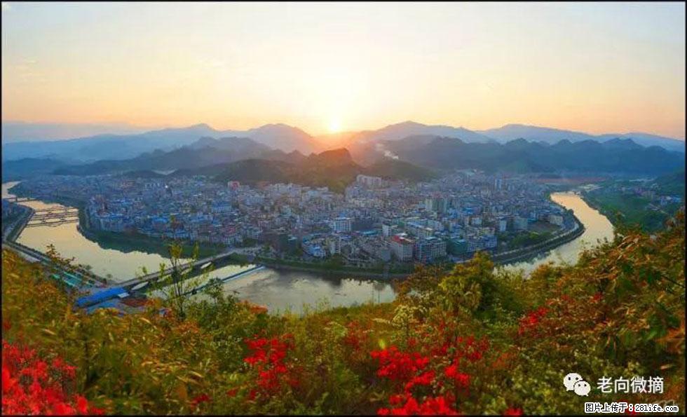 【春天，广西桂林灌阳县向您发出邀请！】登麒麟山，相约映山红 - 游山玩水 - 邯郸生活社区 - 邯郸28生活网 hd.28life.net