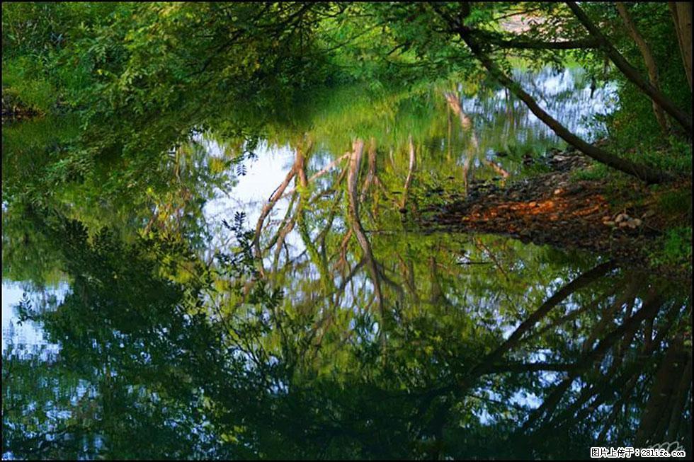 【春天，广西桂林灌阳县向您发出邀请！】熊家寨湿地公园 - 游山玩水 - 邯郸生活社区 - 邯郸28生活网 hd.28life.net