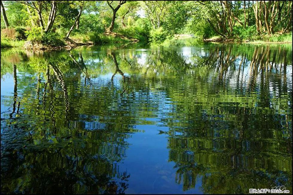 【春天，广西桂林灌阳县向您发出邀请！】熊家寨湿地公园 - 游山玩水 - 邯郸生活社区 - 邯郸28生活网 hd.28life.net