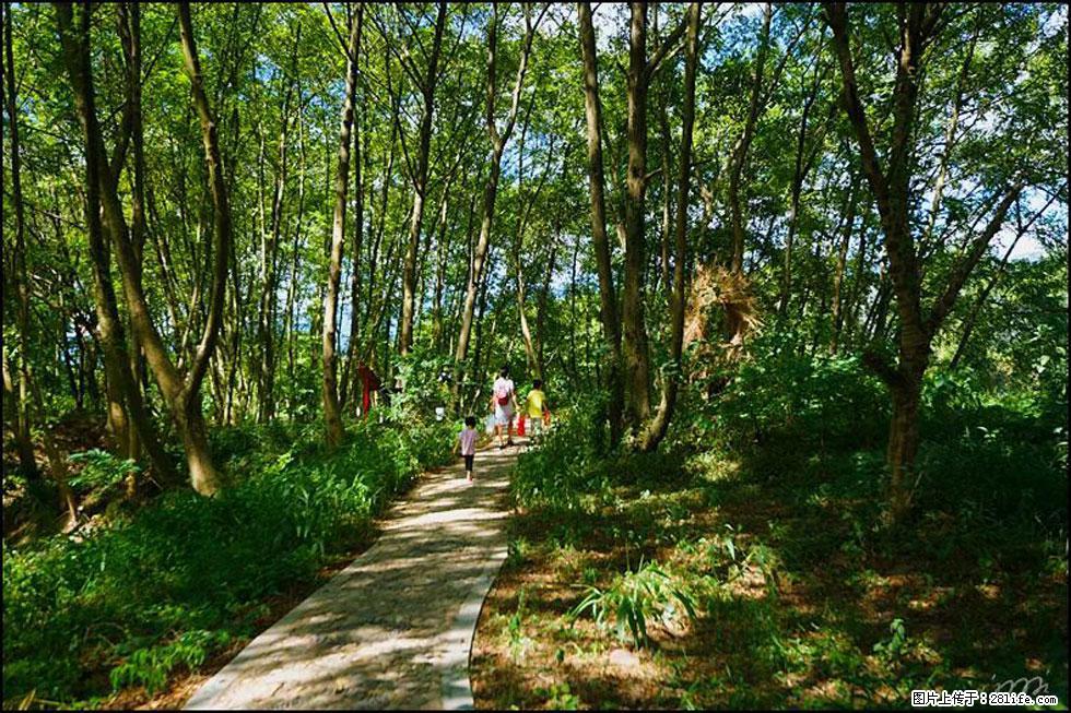 【春天，广西桂林灌阳县向您发出邀请！】熊家寨湿地公园 - 游山玩水 - 邯郸生活社区 - 邯郸28生活网 hd.28life.net
