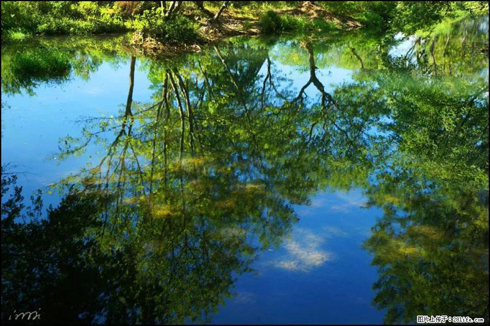 【春天，广西桂林灌阳县向您发出邀请！】熊家寨湿地公园 - 游山玩水 - 邯郸生活社区 - 邯郸28生活网 hd.28life.net