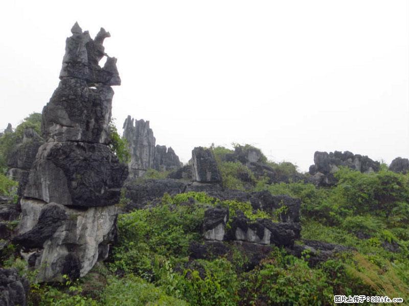 桂林旅游名城景点：灌阳文市石林 - 游山玩水 - 邯郸生活社区 - 邯郸28生活网 hd.28life.net