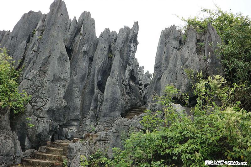 桂林旅游名城景点：灌阳文市石林 - 游山玩水 - 邯郸生活社区 - 邯郸28生活网 hd.28life.net