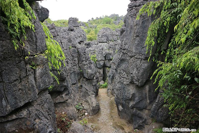 桂林旅游名城景点：灌阳文市石林 - 游山玩水 - 邯郸生活社区 - 邯郸28生活网 hd.28life.net
