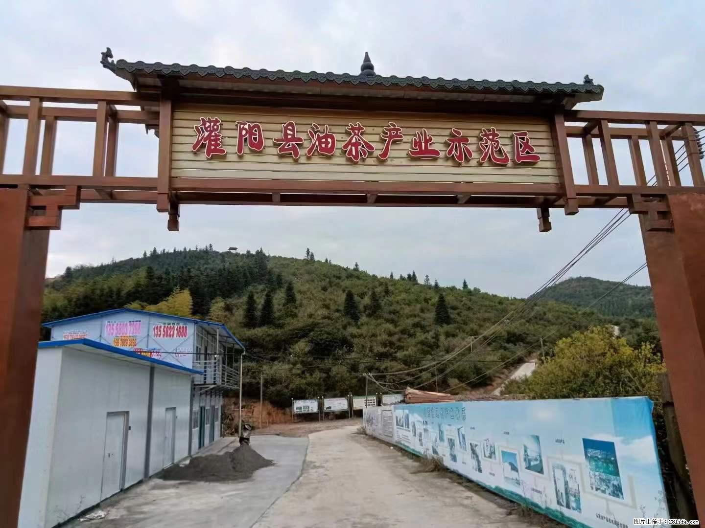 【灌阳县油茶产业示范区】一个有着充实的精神生活的人，对待身外之物自会有一种淡泊的态度 - 土特产 - 饮食特产 - 邯郸分类信息 - 邯郸28生活网 hd.28life.net