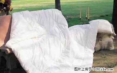 被子有异味？只要这样做，比晒太阳还强100倍！ - 家居生活 - 邯郸生活社区 - 邯郸28生活网 hd.28life.net
