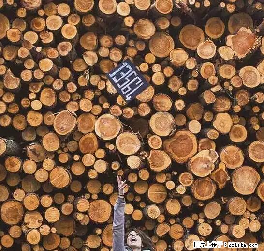 辞掉工作周游世界？现在他们在洗厕所…… - 游山玩水 - 邯郸生活社区 - 邯郸28生活网 hd.28life.net