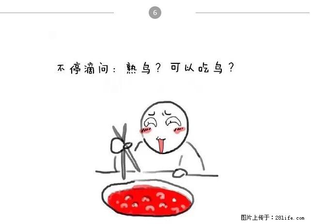 千万不要和这9种哈卵一起吃火锅！ - 美食天地 - 邯郸生活社区 - 邯郸28生活网 hd.28life.net