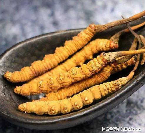 邯郸回收烟酒礼品 回收冬虫夏草 上门回收茅台酒 - 保健品 - 饮食特产 - 邯郸分类信息 - 邯郸28生活网 hd.28life.net