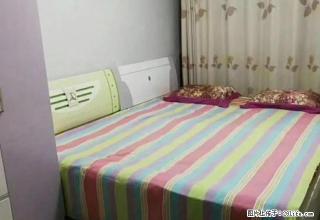 鑫鑫小区 4楼 3室 家具家电齐全 双气 有小房 - 邯郸28生活网 hd.28life.net