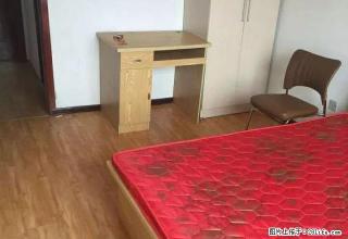 (单间出租)天鸿，沃尔玛，安居东城南城庄园主卧出租，带独立卫生间，精装修 - 邯郸28生活网 hd.28life.net