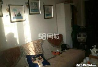 龙湖、天鸿附近 连城别院精装2居室全套家具家电拎包住 - 邯郸28生活网 hd.28life.net