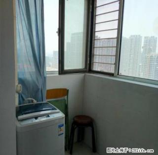 蓝天金地 配套齐全 南北通透 交通便利 紧邻26中 房东急租 - 邯郸28生活网 hd.28life.net