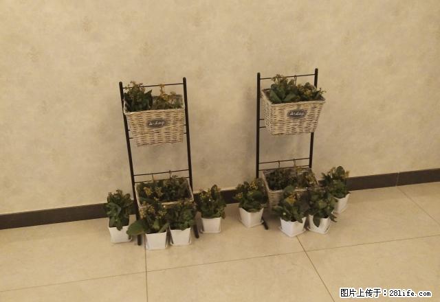 恒大名都 精装修的，室内环境干净卫生，拎包入住，可随时看房 - 房屋出租 - 房屋租售 - 邯郸分类信息 - 邯郸28生活网 hd.28life.net