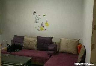春厂小区，1层，紧邻曙光路小学、十一中 - 邯郸28生活网 hd.28life.net