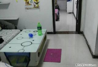 新世纪西侧，丛台广场，双气，家具，电器，拎包入住 - 邯郸28生活网 hd.28life.net
