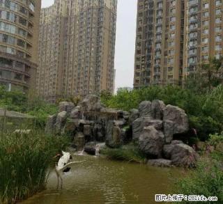 (单间出租)龙湖公园 创鑫六期 出租主卧 向阳 南北通透 采光好 面积大 - 邯郸28生活网 hd.28life.net