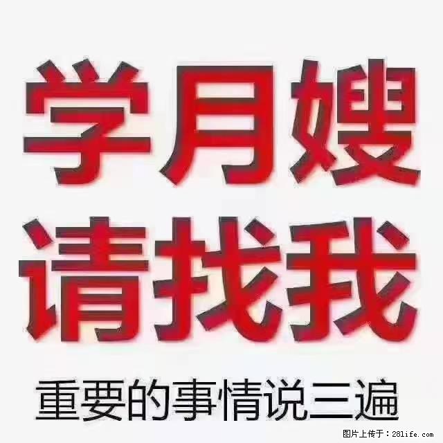 【招聘】月嫂，上海徐汇区 - 职场交流 - 邯郸生活社区 - 邯郸28生活网 hd.28life.net