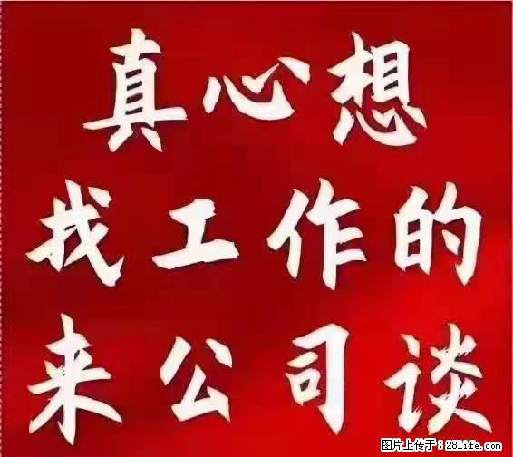 【上海】国企，医院招两名男保安，55岁以下，身高1.7米以上，无犯罪记录不良嗜好 - 职场交流 - 邯郸生活社区 - 邯郸28生活网 hd.28life.net