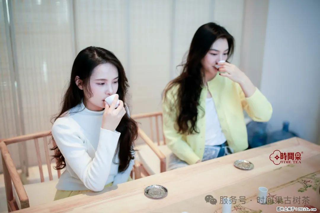 时间果百年古树龙珠普洱生茶 - 购物交流 - 邯郸生活社区 - 邯郸28生活网 hd.28life.net