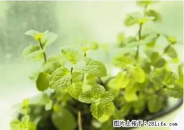 晕车、脚气、牙齿变黄、皮肤粗糙？学会这些三分钟搞定！ - 邯郸生活资讯 - 邯郸28生活网 hd.28life.net
