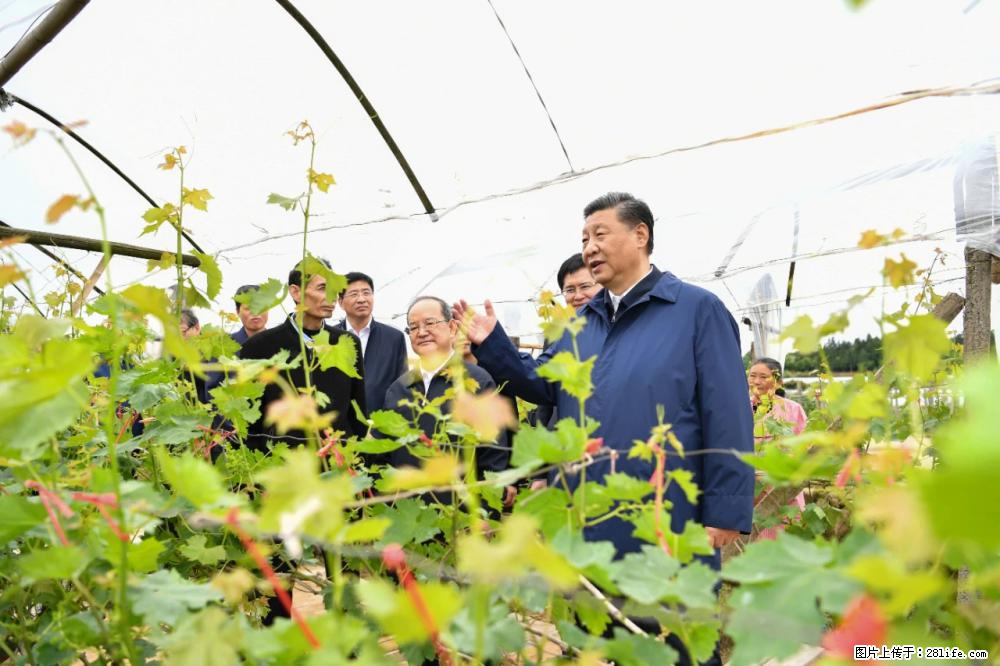 习近平赴广西考察调研 - 邯郸生活资讯 - 邯郸28生活网 hd.28life.net