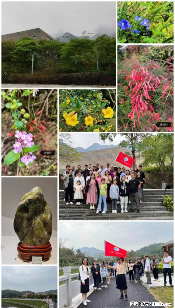 “粤灌文化 美好生活”油茶文化主题活动在广东深圳成功举办 - 邯郸生活资讯 - 邯郸28生活网 hd.28life.net