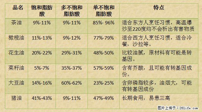 揭秘茶油的5大核心营养成分！被称为人体健康的“守护盾”！ - 邯郸生活资讯 - 邯郸28生活网 hd.28life.net