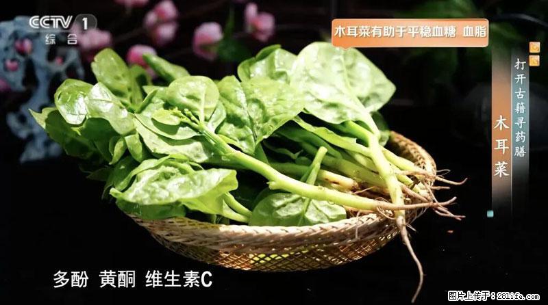 比牛奶补钙还厉害！凉血解毒、稳血糖...这菜冬天必吃，很多人却当草 - 邯郸生活资讯 - 邯郸28生活网 hd.28life.net