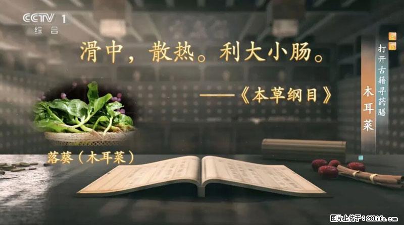比牛奶补钙还厉害！凉血解毒、稳血糖...这菜冬天必吃，很多人却当草 - 邯郸生活资讯 - 邯郸28生活网 hd.28life.net