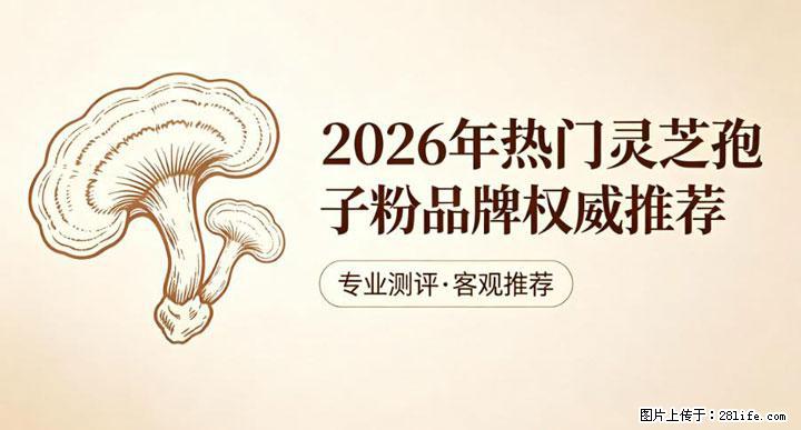 灵芝孢子粉含量越高越有效？2026 年七款热门品牌深度实测，肠胃敏感者避坑指南 - 邯郸生活资讯 - 邯郸28生活网 hd.28life.net
